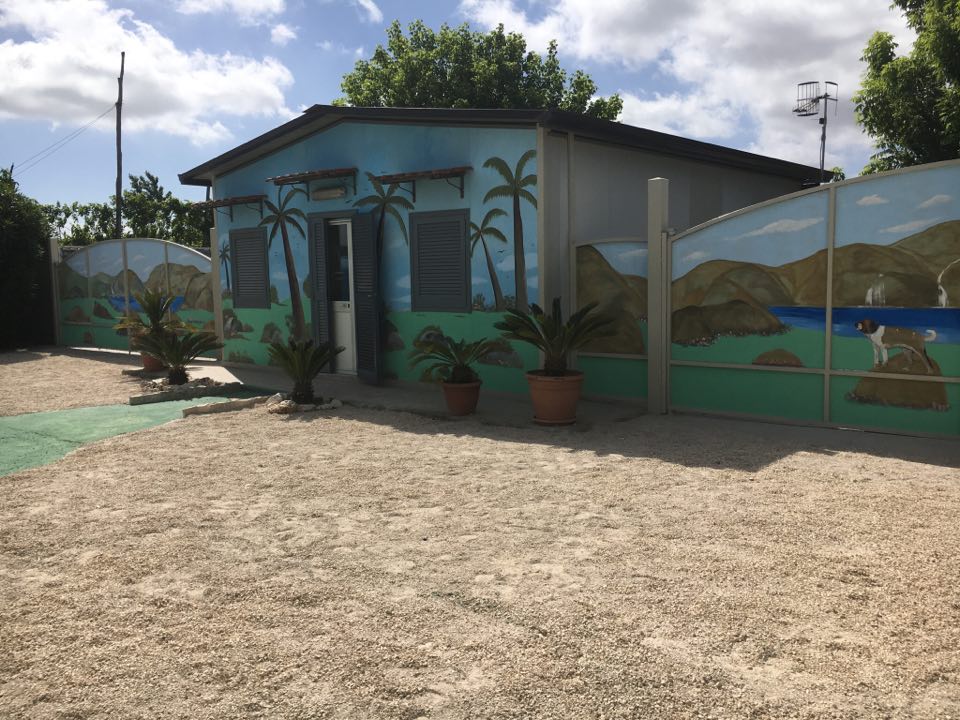 Un tocco di coloreI nostri nuovi murales per rendere a colore il mondo dei nostri amici a quattro zampe
