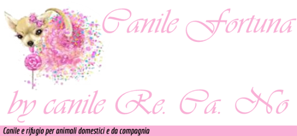 Visita il sito canile fortuna