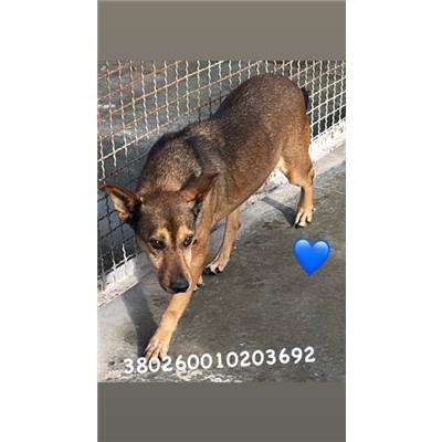 Comune di Pozzuoli - 380260010203692