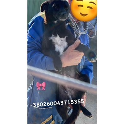 Comune di Pozzuoli - 380260043715355