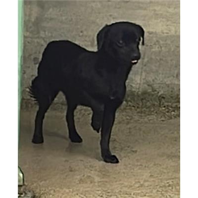 Comune di Quarto - 380260045062487
