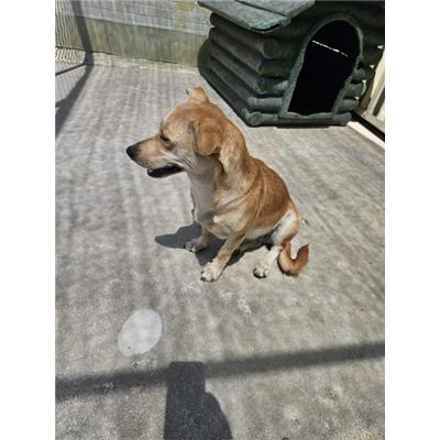 Comune di Quarto - 380260160842461