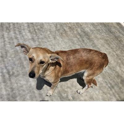 Comune di Quarto - 380260160842461