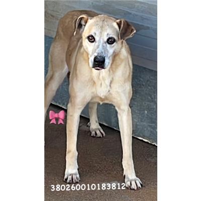 Comune di Pozzuoli - 380260010183812